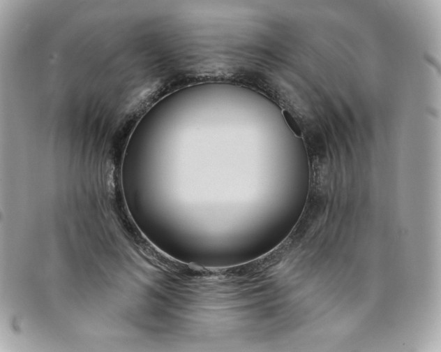 X0000097750692200803211652