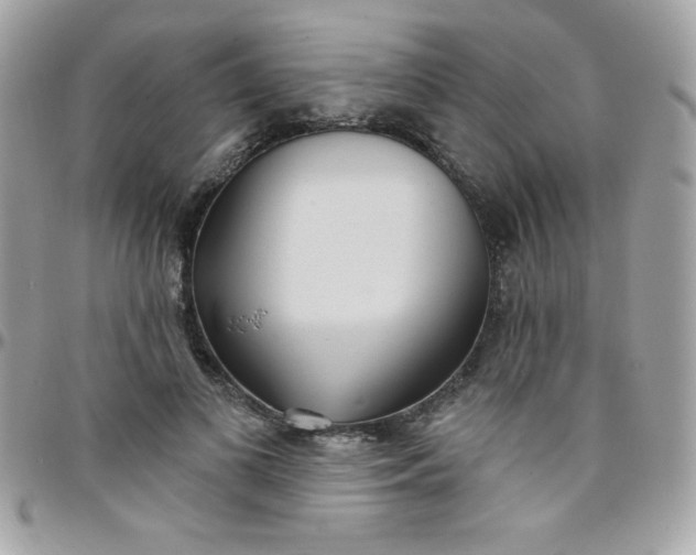 X0000097750693200803211652