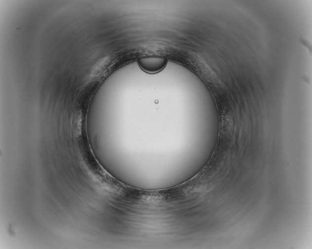 X0000097750694200803211652