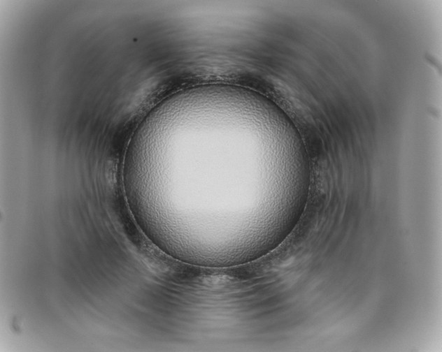 X0000097750695200803211652