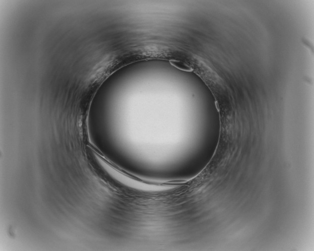 X0000097750696200803211652