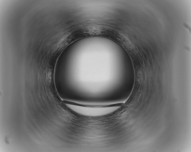 X0000097750697200803211652