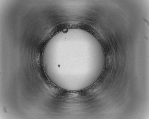 X0000097750698200803211652