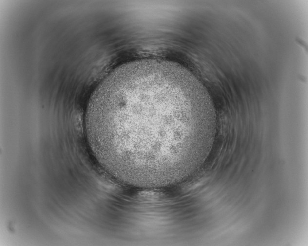 X0000097750699200803211652