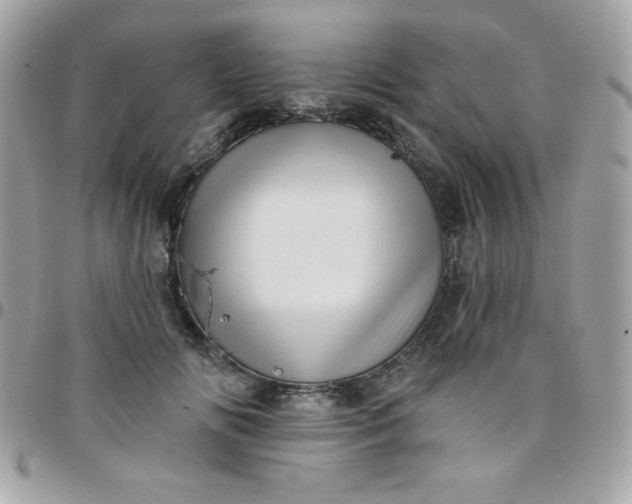 X0000097750702200803211652