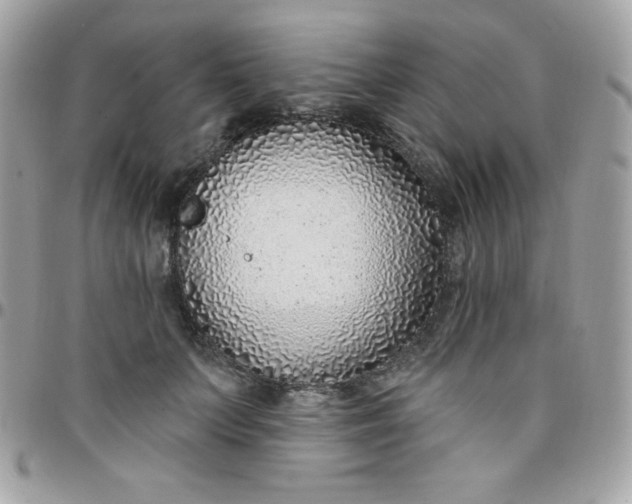 X0000097750703200803211652