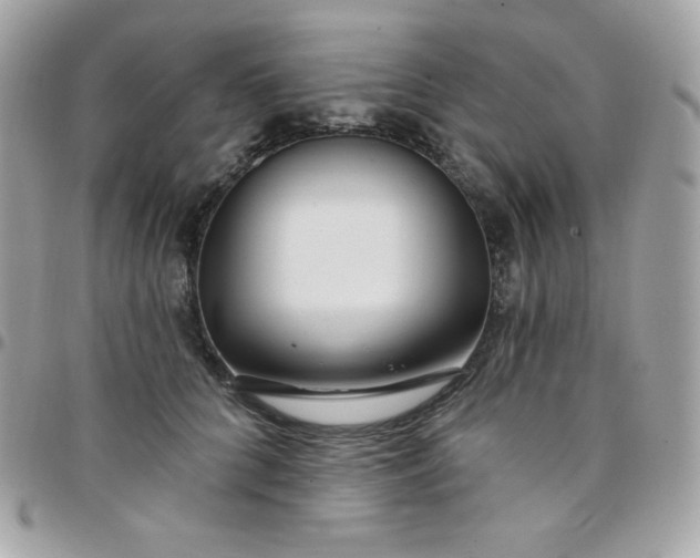 X0000097750704200803211652