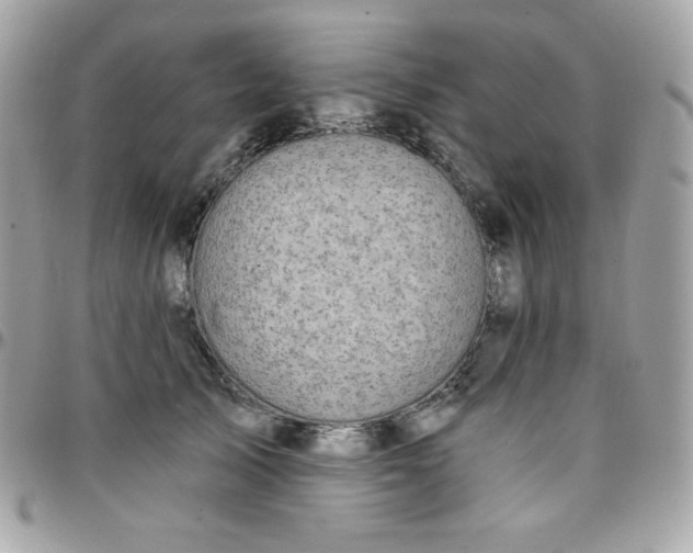 X0000097750705200803211652