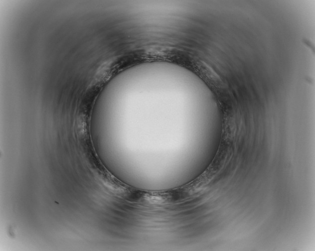 X0000097750706200803211652