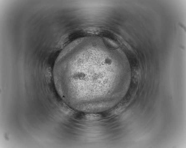 X0000097750707200803211652