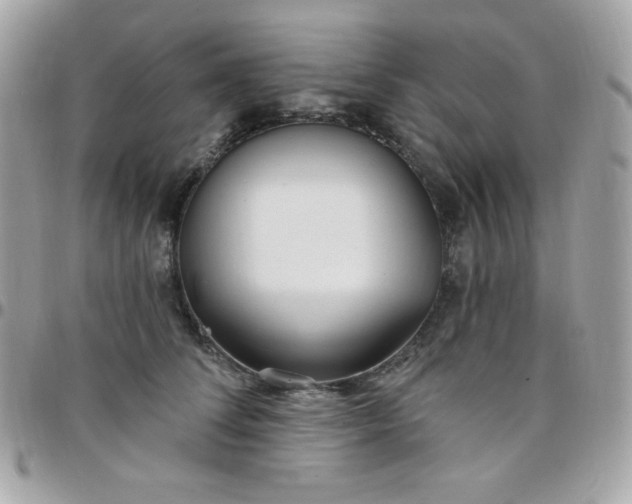 X0000097750708200803211652