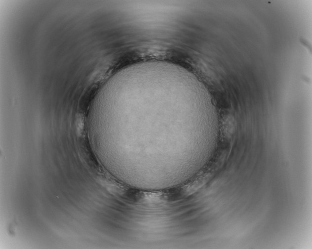 X0000097750709200803211652