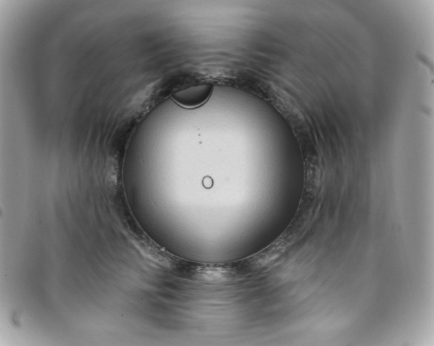 X0000097750710200803211652