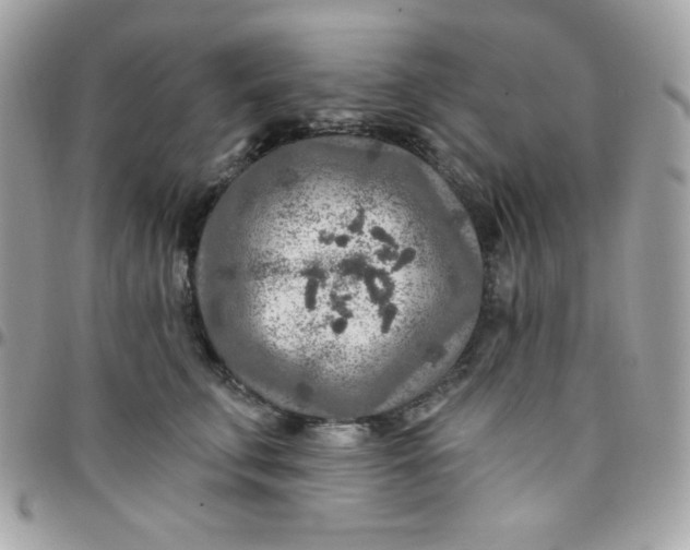 X0000097750711200803211652