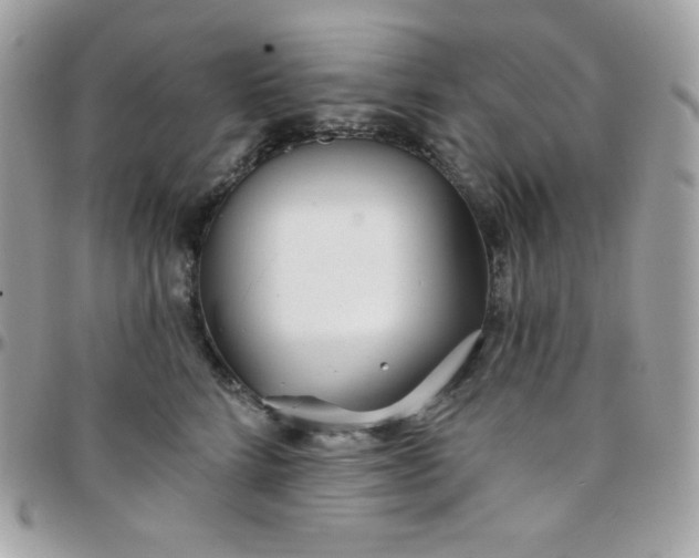 X0000097750712200803211652