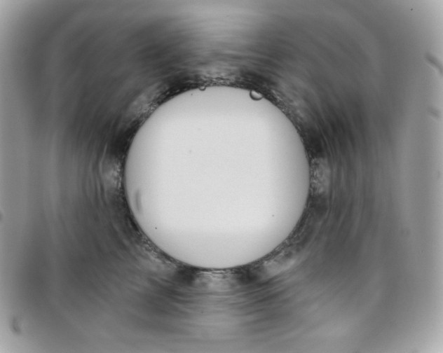 X0000097750713200803211652