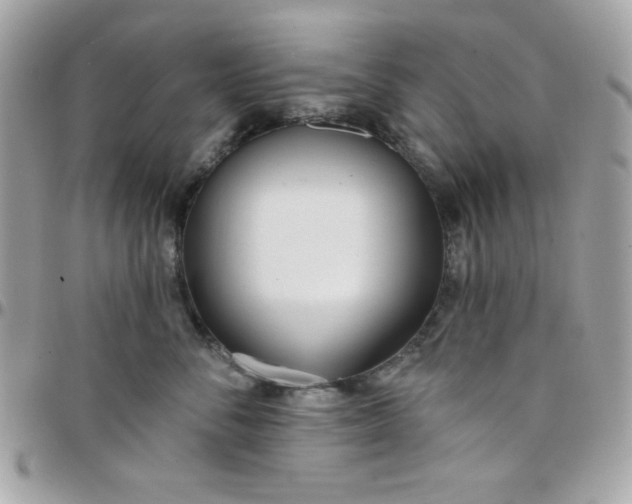 X0000097750716200803211652