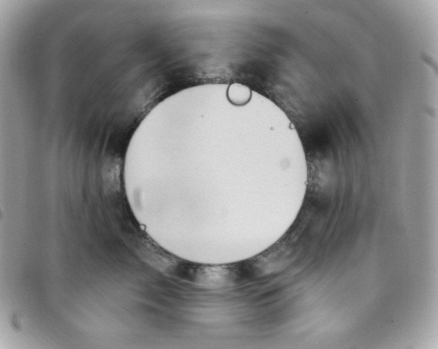 X0000097750717200803211652