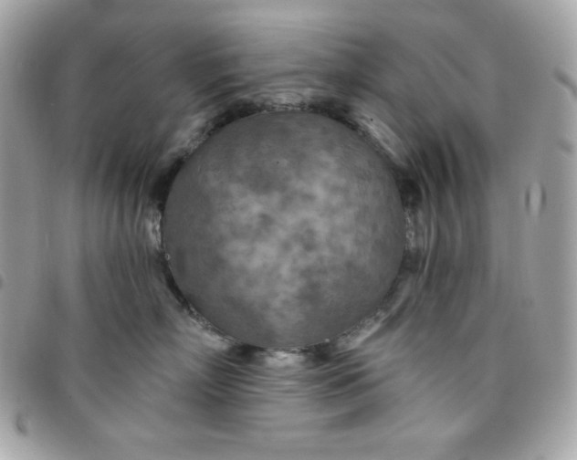 X0000097750718200803211652