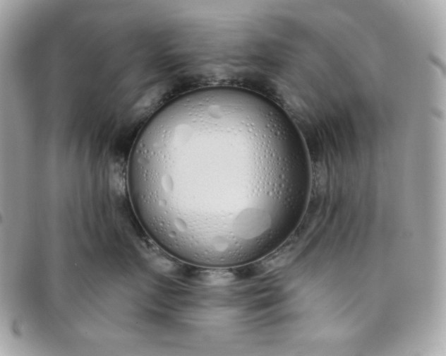 X0000097750719200803211652