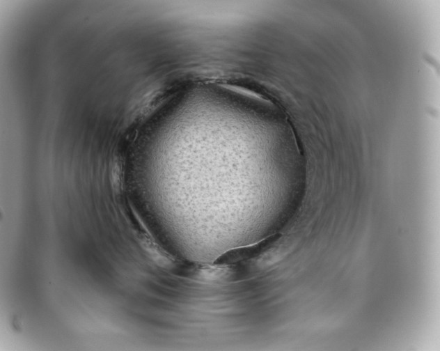 X0000097750720200803211652