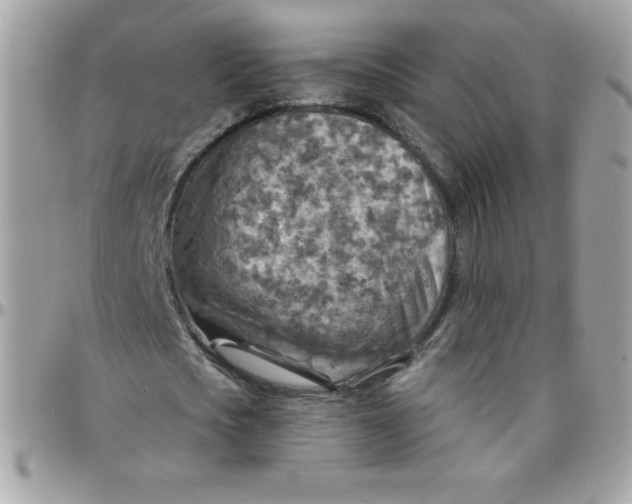 X0000097750721200803211651