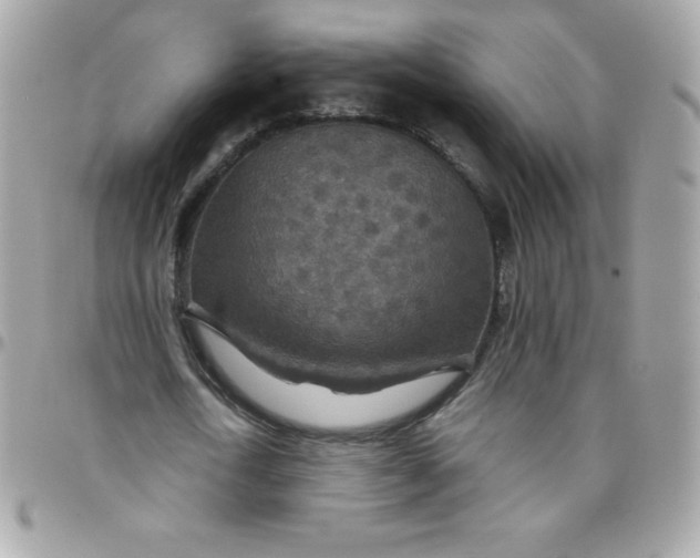 X0000097750722200803211651