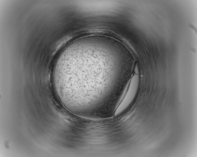 X0000097750723200803211651