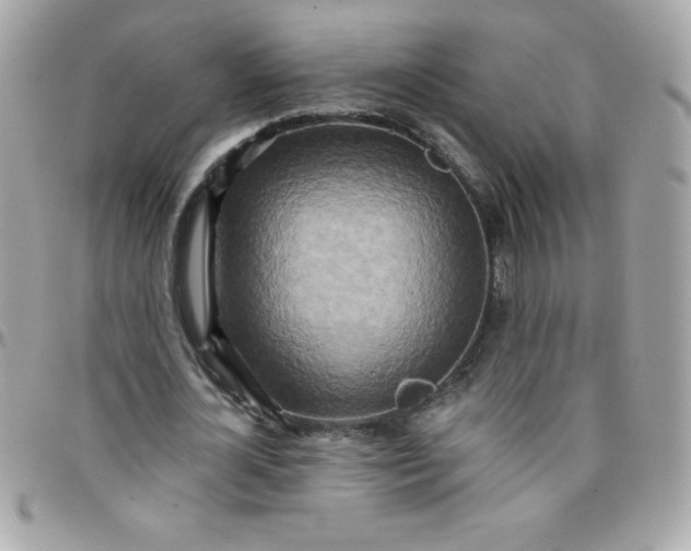 X0000097750724200803211651