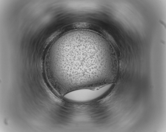 X0000097750725200803211651