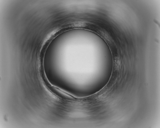 X0000097750726200803211651