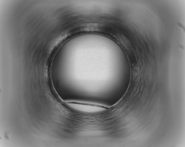 X0000097750727200803211651