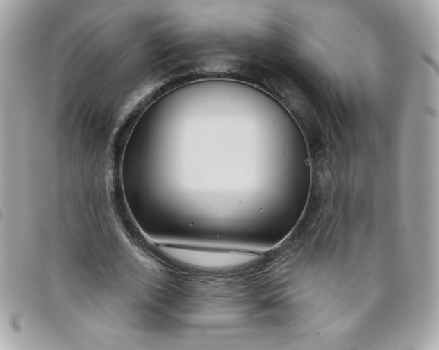 X0000097750728200803211651