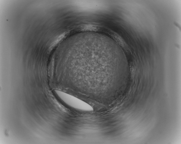 X0000097750729200803211651