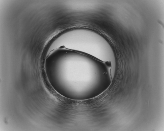 X0000097750730200803211651