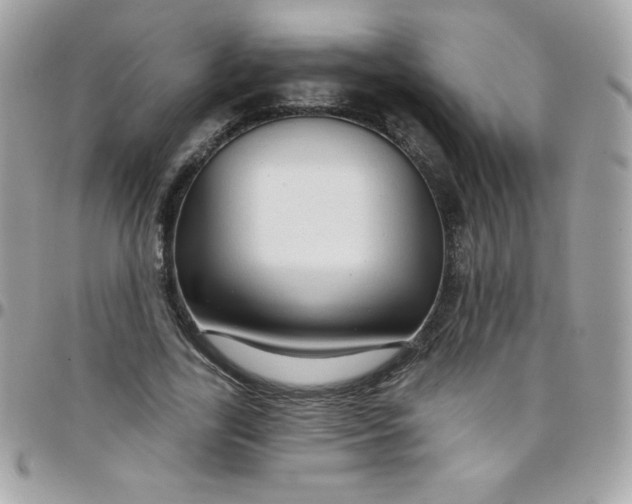 X0000097750731200803211651