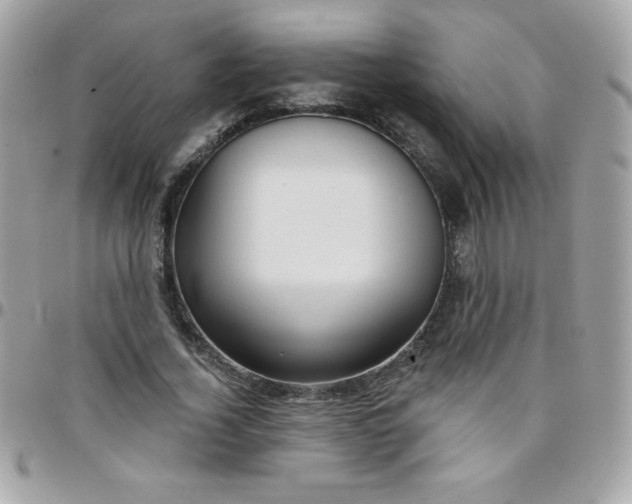 X0000097750732200803211651