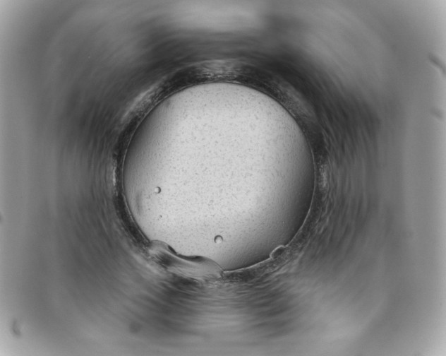 X0000097750733200803211651