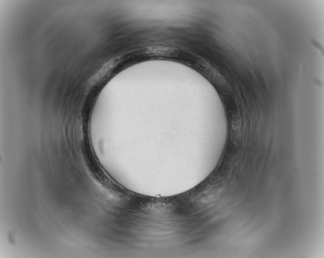 X0000097750734200803211651