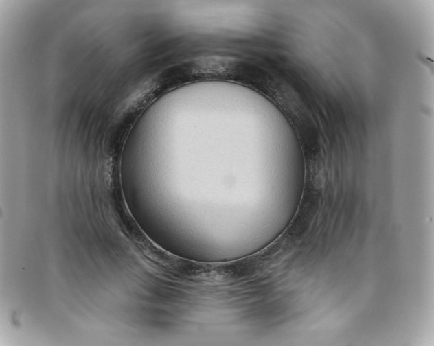 X0000097750735200803211651