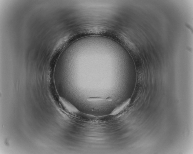 X0000097750736200803211651