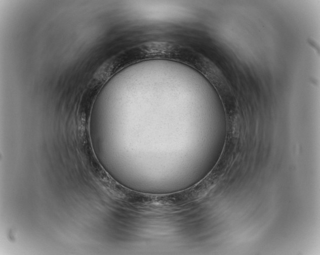 X0000097750737200803211651