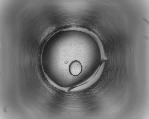 X0000097750738200803211651