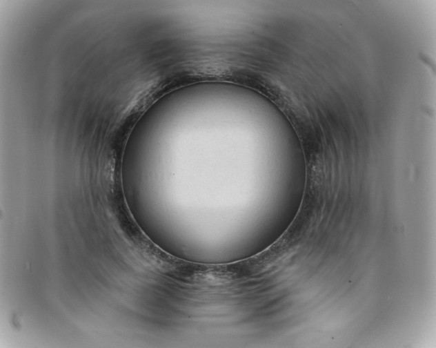 X0000097750739200803211651