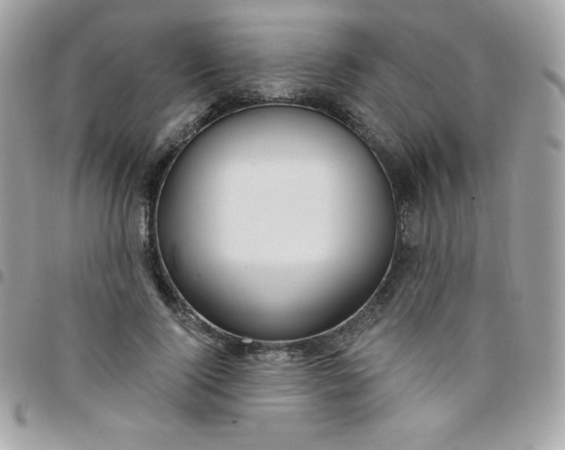 X0000097750740200803211651