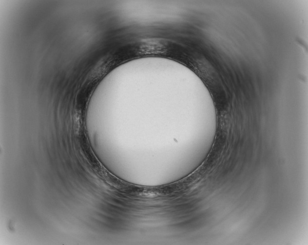 X0000097750741200803211651