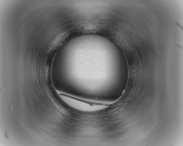 X0000097750742200803211651