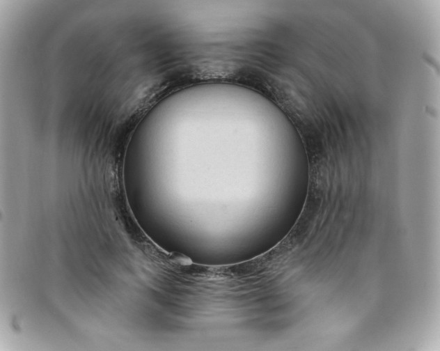 X0000097750743200803211651