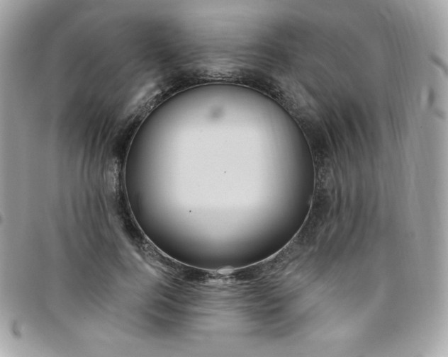 X0000097750744200803211651