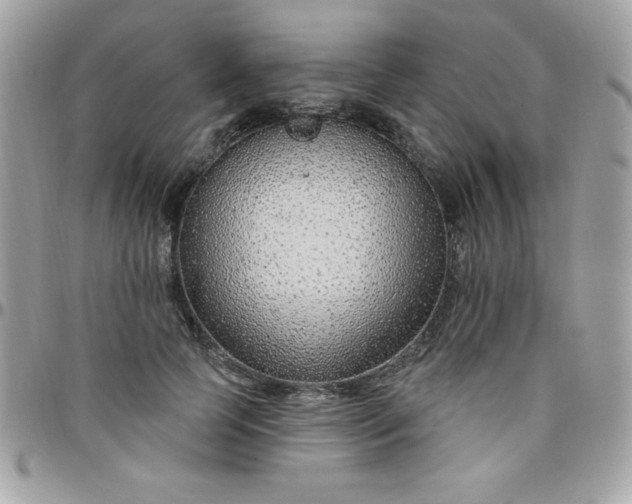 X0000097750745200803211651